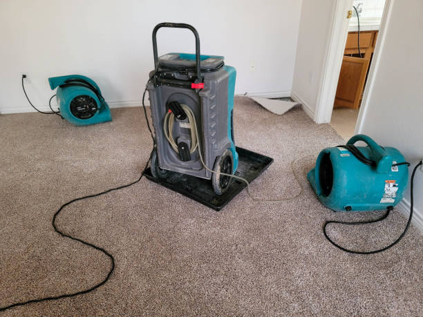 Best Flooded house restoration  in Somers, WI