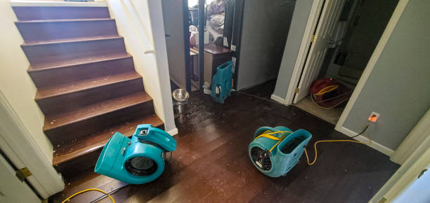 Best Water damage cleanup near me  in Somers, WI