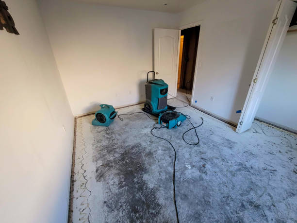 Professional Water damage restoration in WI
