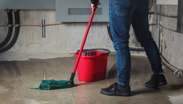 Best Professional water damage repair  in Somers, WI