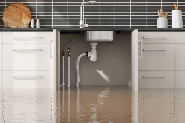 Best Mold removal after water damage  in Somers, WI