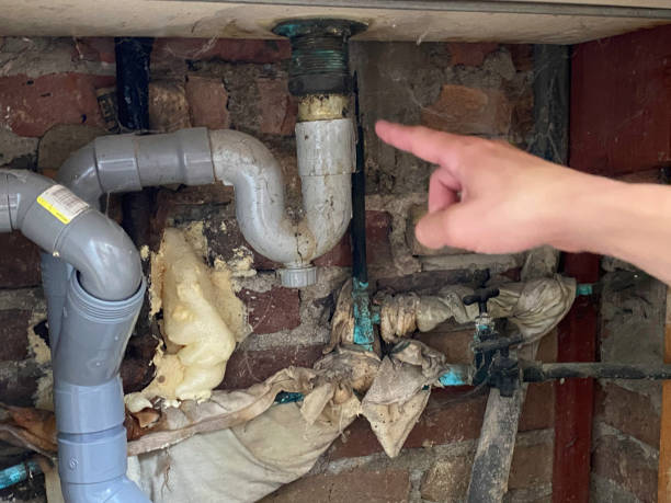 Best Ceiling water damage repair  in Somers, WI