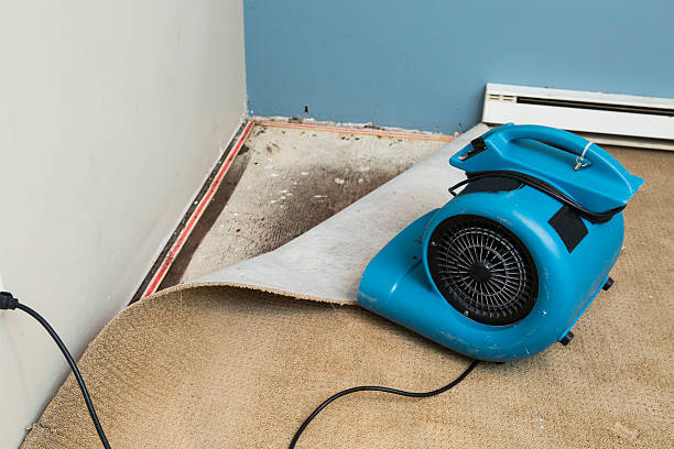Best Water damage restoration near me  in Somers, WI